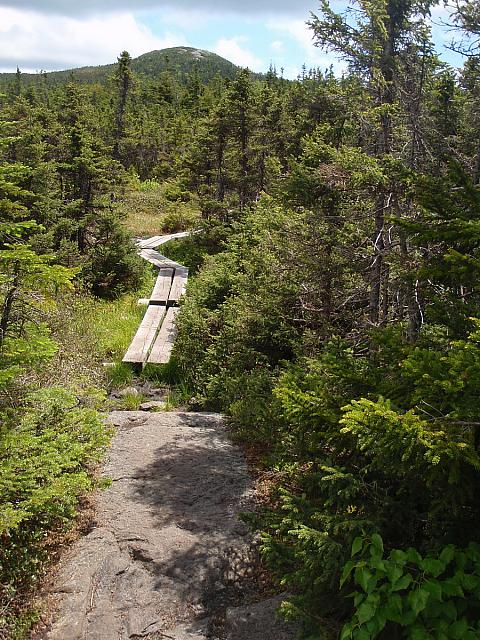The trail near Mount Jackson, White Mountains, NH
