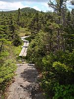 The trail near Mount Jackson, White Mountains, NH